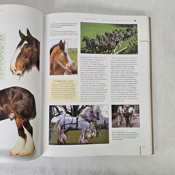 Horse Breeds & Horse Care: The Ultimate Encyclopedia by Judith Draper - Picture 7 of 8